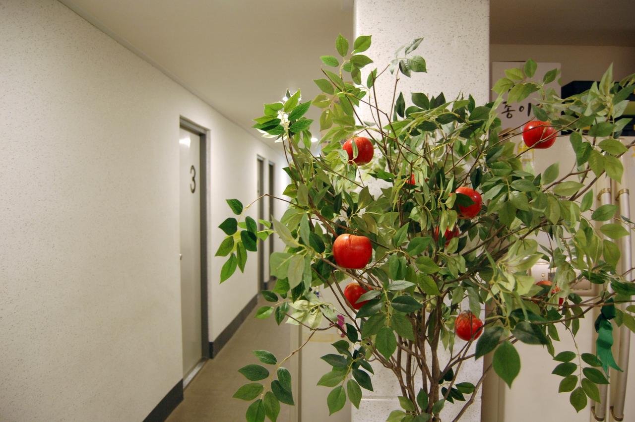 דאיגו Dongseongro Zero Guesthouse מראה חיצוני תמונה